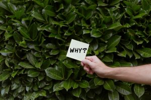A person holds a paper with 'Why?' against a lush green bush, questioning or seeking ideas.